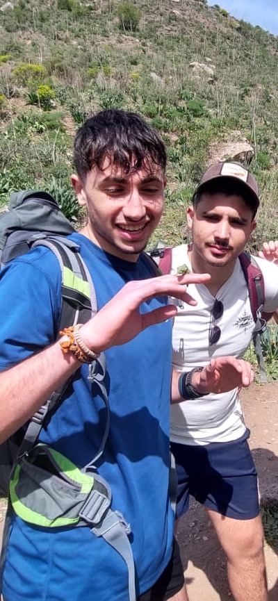 מבצרי בר