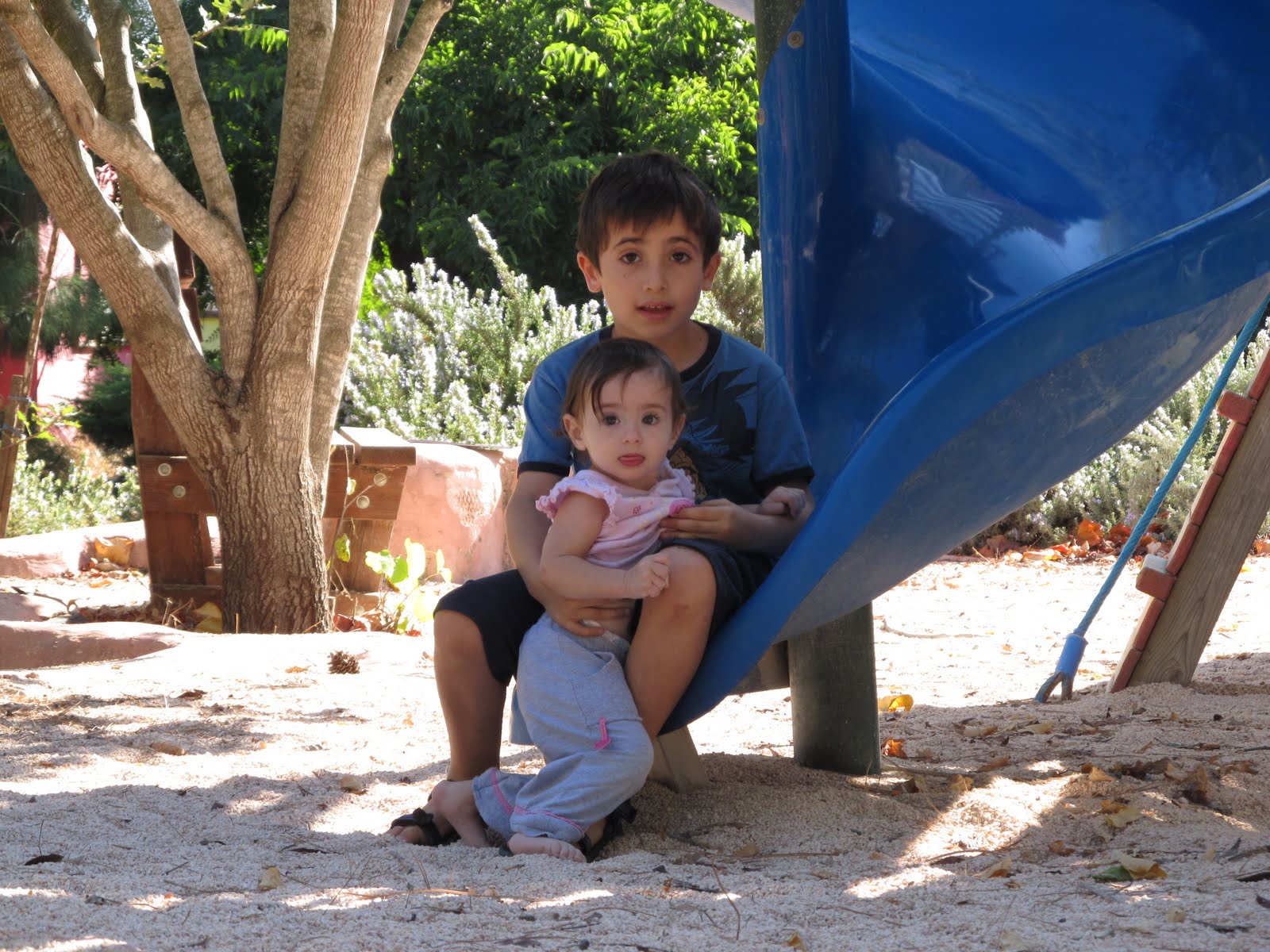 תמונה מהקומונה