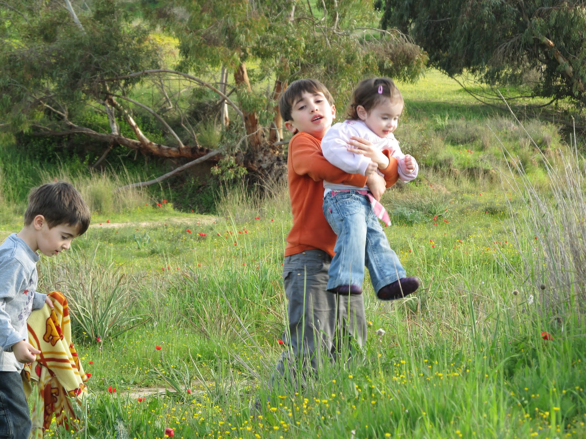 תמונה מהקומונה