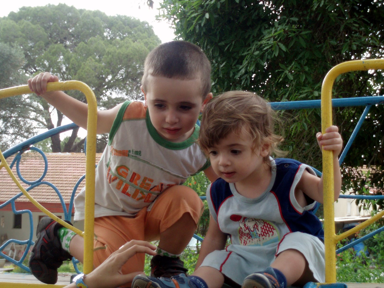 תמונה מהקומונה