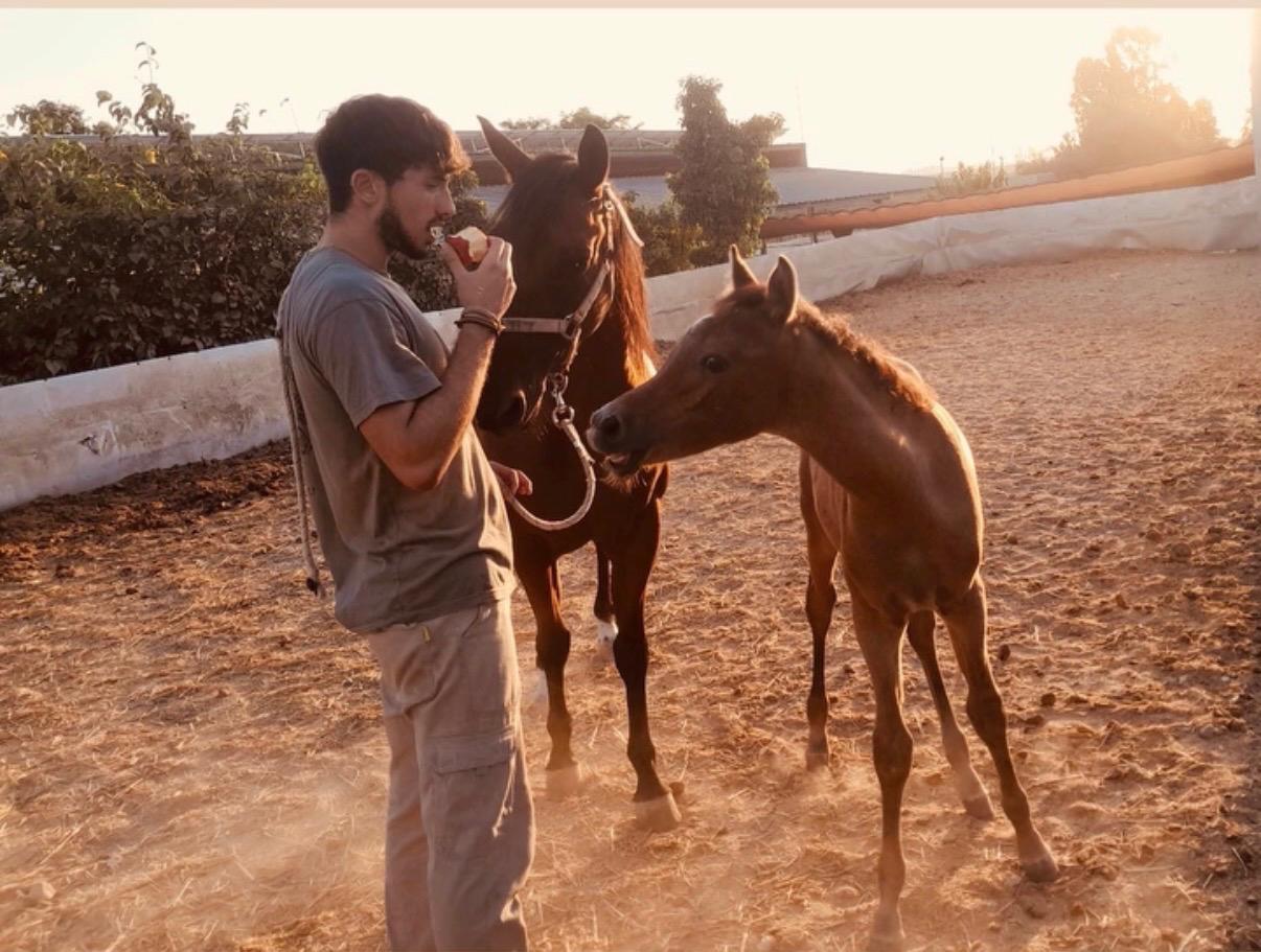תמונה מהקומונה