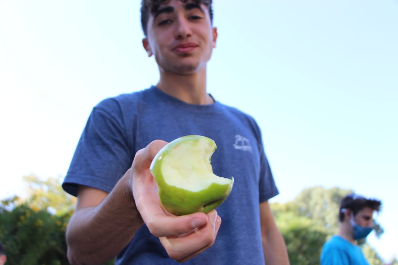 תמונה 47