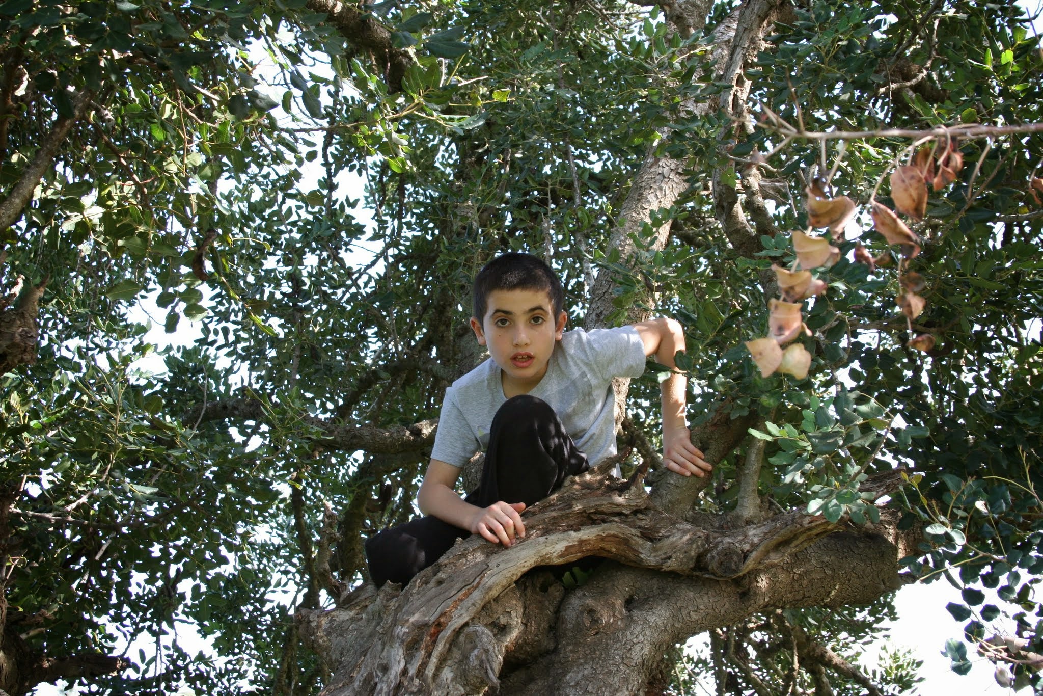 תמונה 84